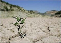 ضربات جبران ناپذیر خشکسالی بر محیط طبیعی 