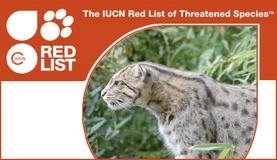 شیوه IUCN در شناسایی گونه‌های در معرض خطر موثر است