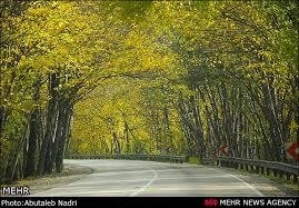 نامه به ابتکار در جهت پیگیری خروج جاده از داخل پارک ملی گلستان