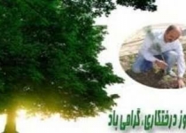 توزیع و کاشته ۵۰۰ هزاراصله نهال در سطح استان تهران