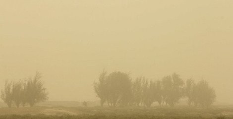  اجلاس بین‌المللی گرد و غبار در ایران