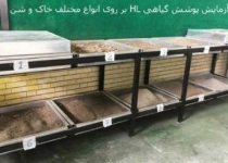 چسب گیاهی راه حل مخترع ایرانی برای معضل گردوغبار