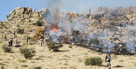 آتش اراضی نیمه جنگلی مانه و سملقان در برگرفت