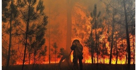 آتش سوزی در پارک ملی پابند مازندران