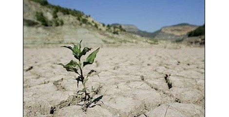 مدیریت آب باران ضرورت شهرهای کویری وخشک ایران است