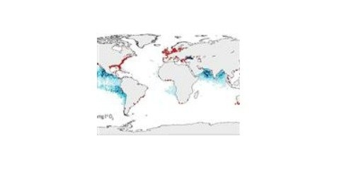 مناطق مرده اقیانوس ها 4 برابر شده است