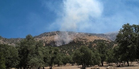 سال ۹۷ هیچ مجوزی برای بهره‌برداری از جنگل‌ها صادر نمی‌شود/شرمنده مردم خوزستان هستیم