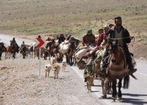 با توجه به امکان رعد و برق و سیلاب عشایر البرز و زاگرس به ارتفاعات نروند