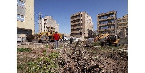 اداره کل محیط زیست شهرستان ری هیچ مجوزی برای قطع درختان صادر نمی‌کند.