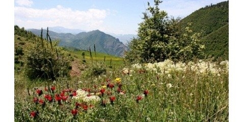 منطقه حفاظت شده  و بکر پرور در سمنان