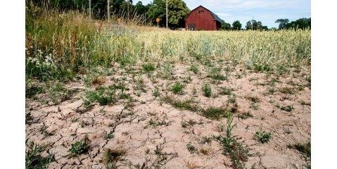 بحران گسترش خشکسالی و کم‌ آبی در اروپا