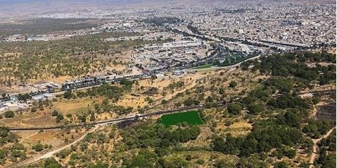 باغستان های کهن در برابر مغزهای کوچک زنگ زده