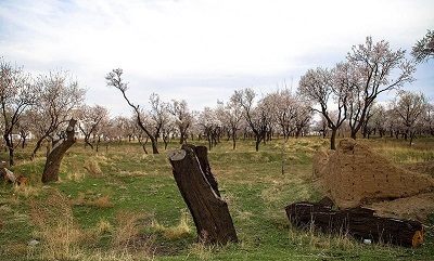 باغ سنتی قزوین