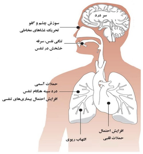 ریه انسان